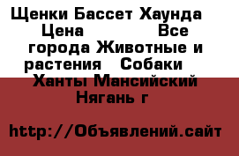 Щенки Бассет Хаунда  › Цена ­ 25 000 - Все города Животные и растения » Собаки   . Ханты-Мансийский,Нягань г.